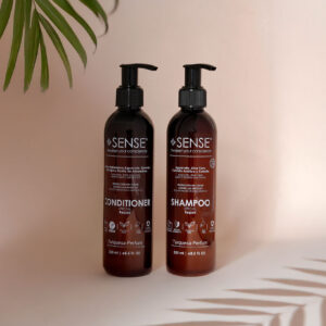 Kit Special Repair (Shampoo + Conditioner turquesa) x 250 ml