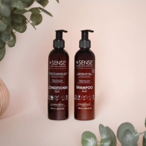 Kit Special Repair (Shampoo granate + Conditioner repair amatista) x 250 ml
